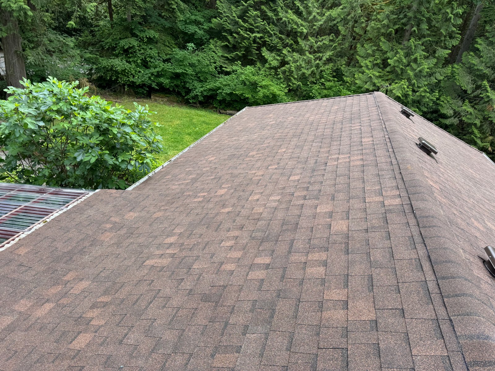 Roof Update