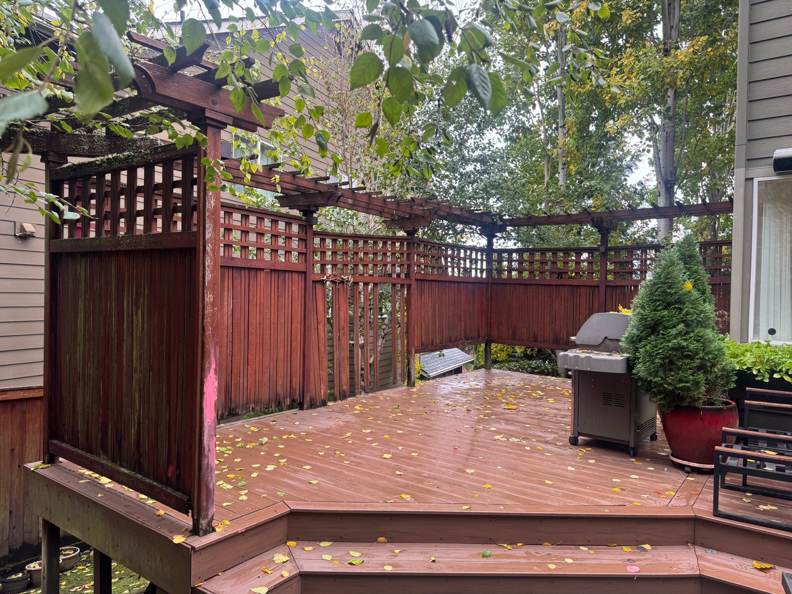 Fence Improvement